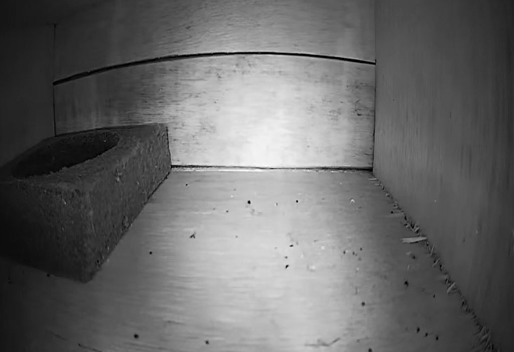Box 4